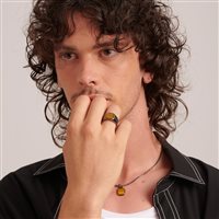 Anello Brosway Uomo in Acciaio Occhio di tigre BIK131B - BIK131C